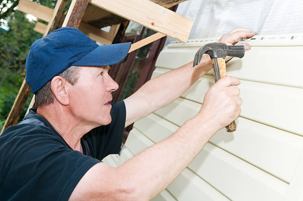 Best Custom Trim and Detailing for Siding  in Decatur, MI